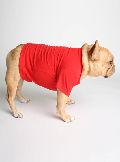 Breakin' Hearts & Blastin' Farts Dog Tee