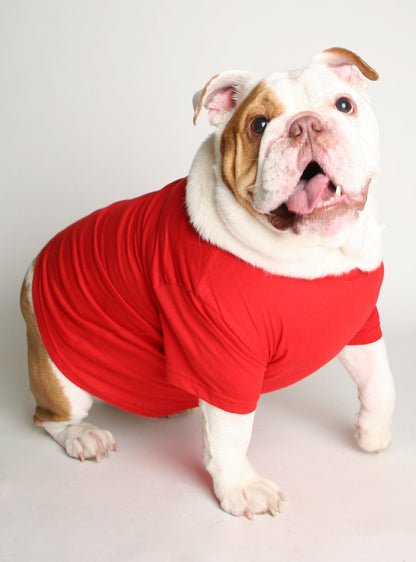 Breakin' Hearts & Blastin' Farts Dog Tee