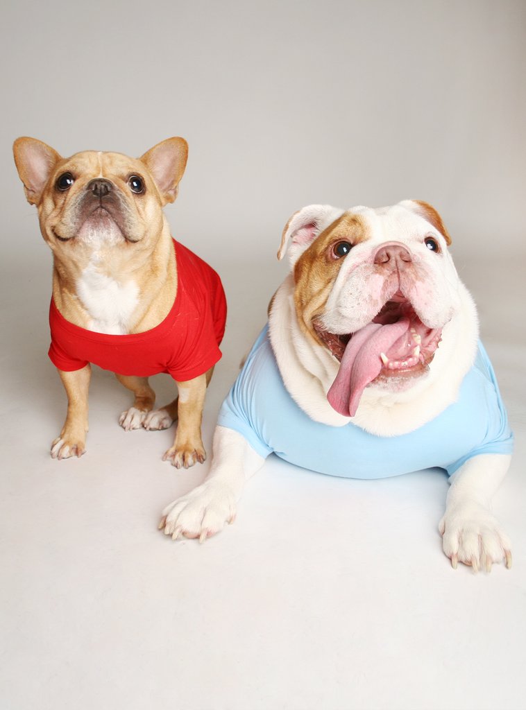 Mr. Eats His Own Poop Dog Tee